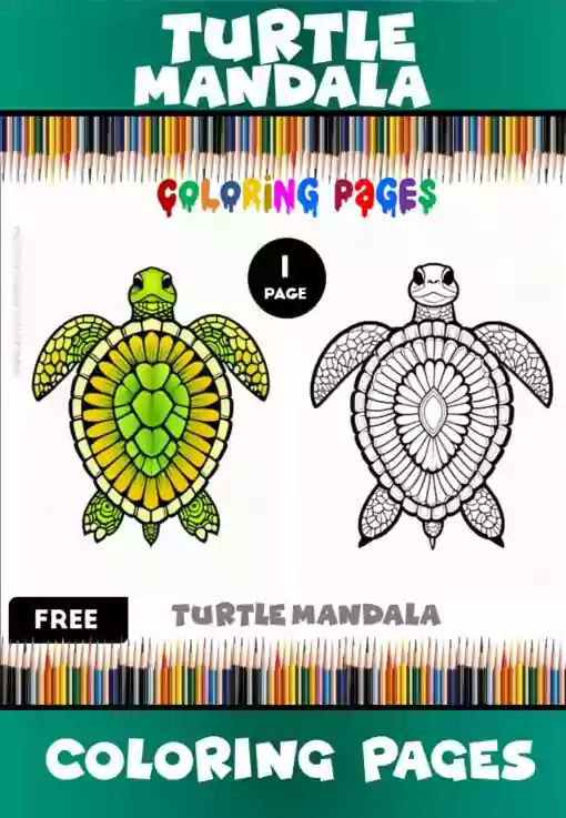 Set Your Creativity Free Free Mandala Coloring Turtle