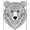 Dive into Tranquility: Bear Mandalas Coloring Pages VOL 5 cataligue