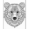 Dive into Tranquility: Bear Mandalas Coloring Pages VOL 5 cataligue