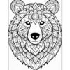 Discover Serenity Mandalas Coloring Bear VOL 3