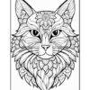 A detailed black and white illustration of a cat's face, featuring intricate patterns and floral elements in its fur and around the face.