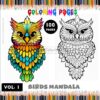 Fly into Creativity Mandala Coloring Pages Birds VOL 1