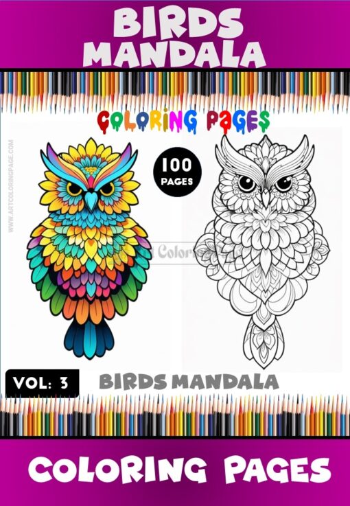 Immerse Yourself Coloring Pages Mandala Birds VOL 3