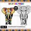 Majestic Mandalas Elephant Mandala Coloring VOL 5