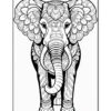 A detailed black and white illustration of an elephant, adorned with intricate floral patterns on its ears and body, facing forward with its trunk curved.