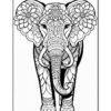 A detailed black and white illustration of an elephant adorned with intricate floral patterns and designs, facing forward.
