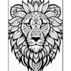Roar with Majesty Lion Mandalas Coloring VOL 1
