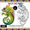 Set Your Creativity Free: Free Mandala Coloring Lizard