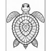Set Your Creativity Free Free Mandala Coloring Turtle
