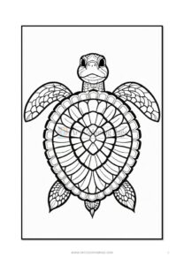 Set Your Creativity Free Free Mandala Coloring Turtle