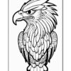 A detailed black and white illustration of an eagle with a fierce expression, prominently displayed with intricate feather patterns throughout its head and body.