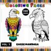 Elevate Your Artistry with Eagle Mandala PDF Vol - 3!