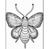 A detailed line drawing of a butterfly featuring intricate patterns on its wings and body, set against a plain white background.