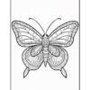 A detailed line drawing of a butterfly, featuring intricate patterns on its wings and body, set against a plain white background.