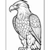 A detailed line art illustration of an eagle standing with its head turned slightly, showcasing its prominent beak and intricately designed feathers on its wings and body.