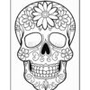 Unveil Your Creative Spirit with Skull Drawing Coloring Pages Vol. 2