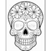 Unveil Your Creative Spirit with Skull Drawing Coloring Pages Vol. 2