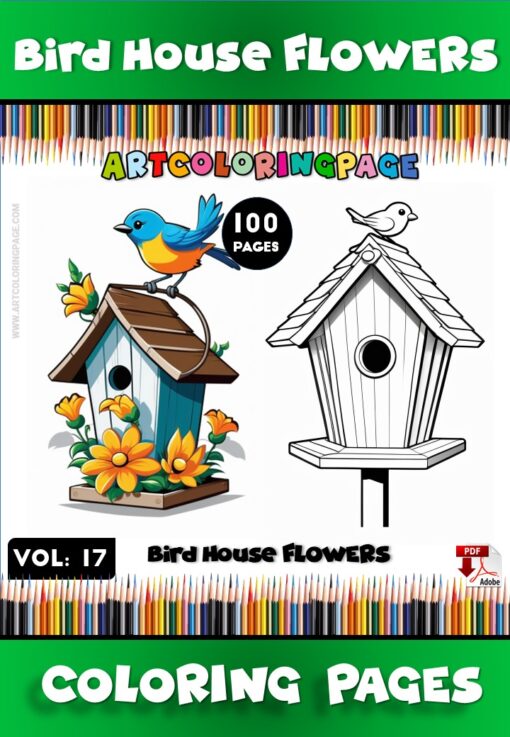 Feathered Friends Fun Bird House Coloring Adventures Vol17