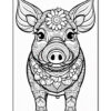 A decorative black and white illustration of a pig adorned with intricate floral patterns on its body, with large ears and a prominent snout, facing forward against a plain background.