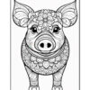 A detailed black and white illustration of a pig with intricate floral patterns and designs on its body and head, facing forward.