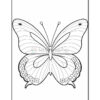 A black and white illustration of a butterfly with detailed wings and floral patterns at the bottom, designed for coloring.