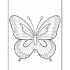 A black and white drawing of a butterfly with detailed patterns on its wings, positioned symmetrically, suitable for coloring.