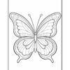A detailed black and white illustration of a butterfly with symmetrical wings, featuring various patterns and shapes designed for coloring.