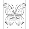 A black and white line drawing of a butterfly, featuring detailed patterns on its wings, including large shapes and smaller dots, surrounded by a plain white background.