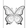 A black and white outline drawing of a butterfly with detailed wings featuring decorative patterns and a symmetrical design.