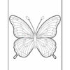 A detailed, black-and-white outline of a butterfly with intricate wing patterns, set against a plain white background, suitable for coloring.