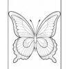 A detailed line drawing of a butterfly with intricately patterned wings, set against a blank background suitable for coloring.