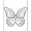 A black and white line drawing of a butterfly, featuring detailed patterns on its wings and a floral motif at the bottom, set against a plain white background.