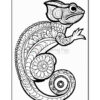 A detailed black and white illustration of a chameleon designed for coloring, featuring intricate patterns and floral motifs throughout its body and tail.