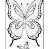 A black and white outline drawing of two butterflies, one large with ornate wings featuring floral patterns and intricate line work, and a smaller butterfly positioned below it with simpler details.