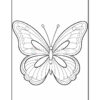 A black and white line drawing of a symmetrical butterfly, featuring detailed wings with various patterns and shapes, set against a plain background, designed for coloring.