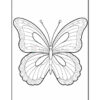 A black and white line drawing of a butterfly with intricate patterns on its wings, including circular designs and wavy lines, suitable for coloring.