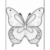 A black and white outline drawing of a butterfly with intricate patterns on its wings and floral designs at the bottom.