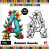 Flowers Alphabet Coloring Pages for All Ages Vol. 1 – 130 Pages