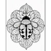 A detailed black-and-white line drawing of a symmetrical mandala featuring a large ladybug in the center, surrounded by various floral patterns and leaves.