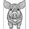 A black and white illustration of a decorative pig with intricate patterns and floral designs, facing forward with prominent ears and a curly tail.