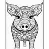 A detailed black and white illustration of a pig adorned with intricate floral patterns, featuring large ears and a prominent snout, positioned frontally against a plain background.