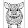 A black and white line art illustration of a pig, featuring intricate mandala patterns and floral designs on its face and body, with its ears raised and a friendly expression.