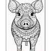 A black and white line drawing of a pig, adorned with intricate floral patterns and designs, facing forward with large, expressive eyes and a smile.