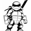 A cartoon turtle wearing a black mask and holding a sword, showcasing muscular arms and a determined expression.