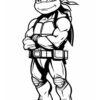 A muscular turtle character with a confident expression, wearing a bandana and a belt, likely representing Michelangelo from Teenage Mutant Ninja Turtles.