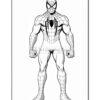 Spider-Man stands in a strong pose, showcasing his iconic webbed costume and muscular physique.