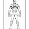A line art illustration of Spider-Man, showcasing his muscular physique and iconic web pattern on his suit.