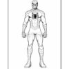 Spider-Man stands confidently, wearing his iconic red and blue suit with a black spider emblem on his chest.