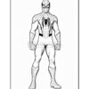 Line art illustration of Spider-Man in his classic suit, featuring his iconic web pattern and mask.