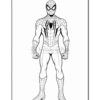 Spider-Man standing confidently in a superhero pose, wearing his iconic red and blue costume with web patterns.